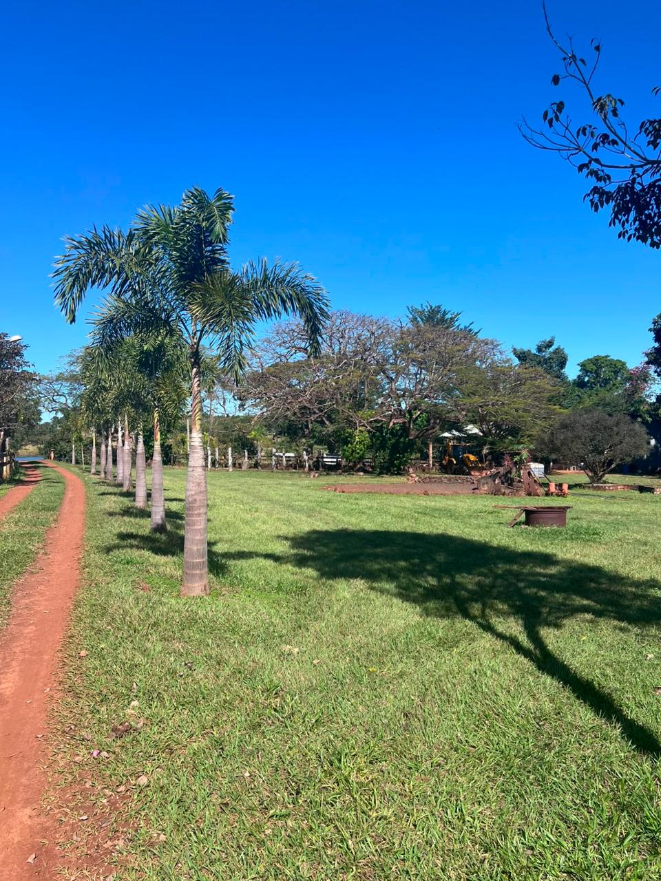 Área verde da Fazenda Aroeira com palmeiras e amplo gramado