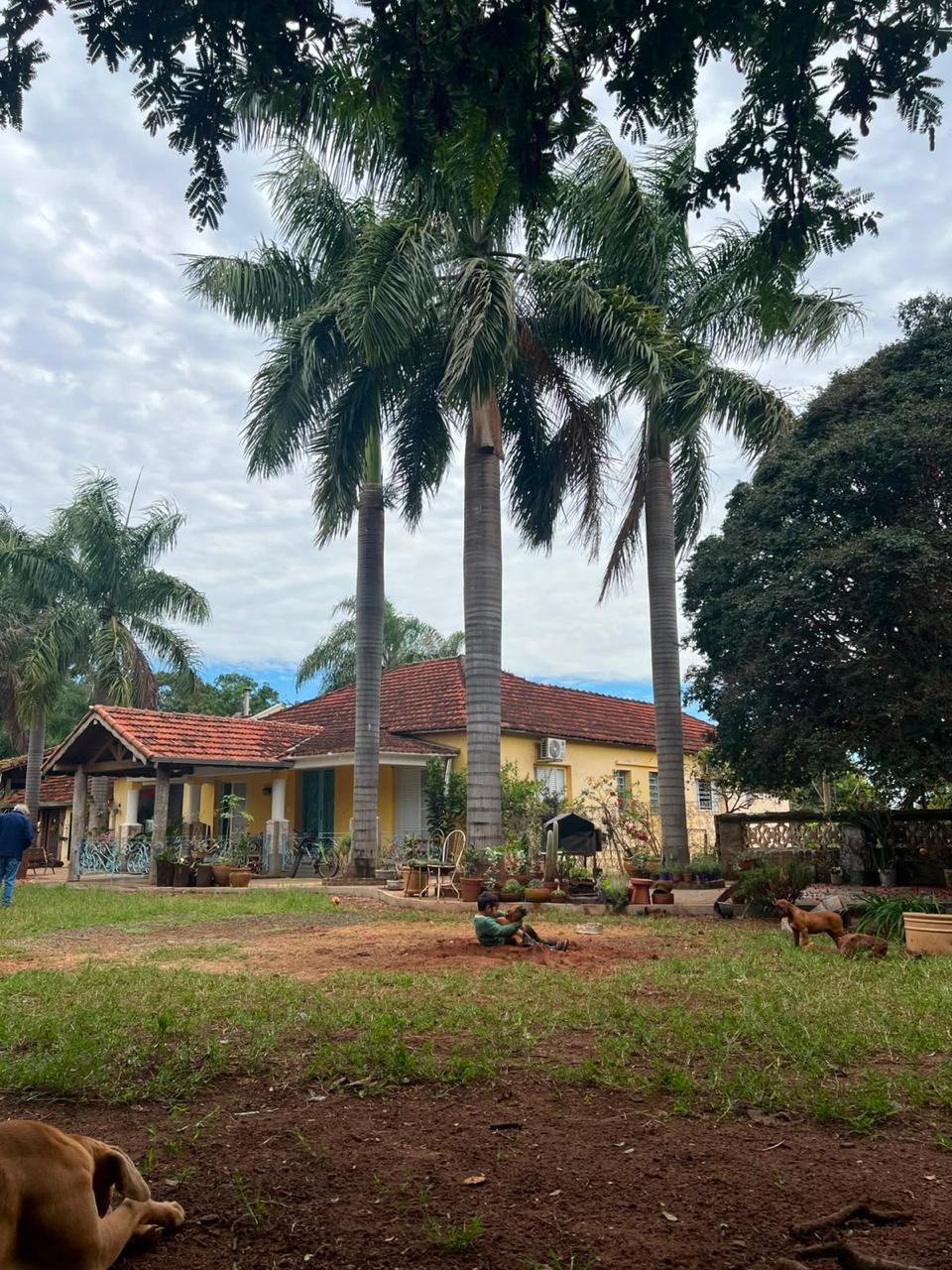 Sede da Fazenda Aroeira entre palmeiras e jardins